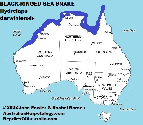 Approximate distribution of the Black-ringed Sea Snake (Hydrelaps darwiniensis) in Australia Waters