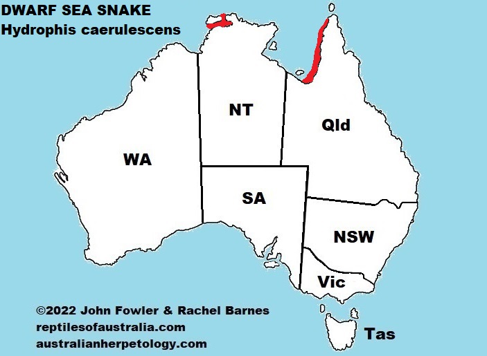 Approximate distribution of the Dwarf Sea Snake (Hydrophis caerulescens) in Australia