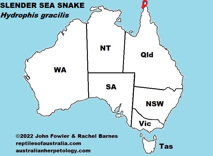 Approximate distribution of the Slender Sea Snake (Hydrophis gracilis) in Australia