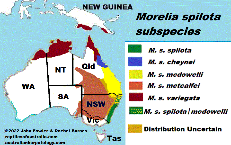 Morelia spilota distribution