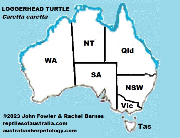 Map shows approximate distribution of main populations of hte Loggerhead Turtle (Caretta caretta gigas) only around Australia map