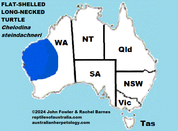 Approximate distribution of the Flat-shelled Turtle Chelodina steindachneri map