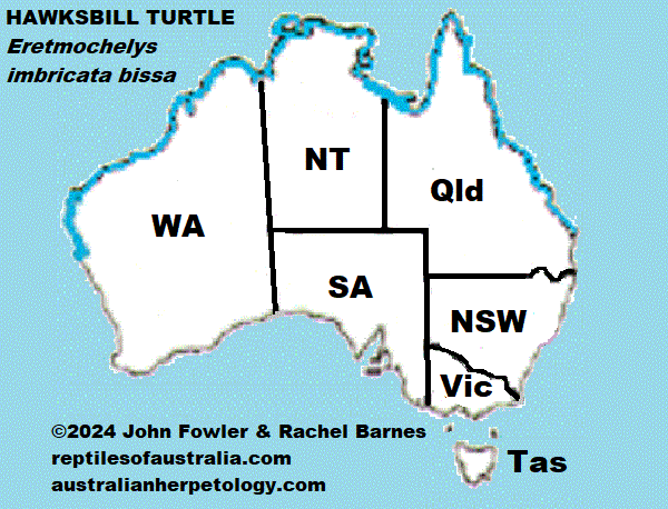 HAWKSBILL TURTLE Eretmochelys imbricata bissa REPTILES OF AUSTRALIA map
