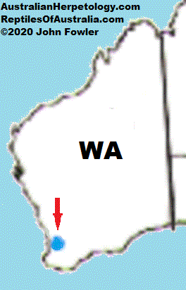Approximate distribution of the Western Swamp Turtle (Pseudemydura umbrina) 